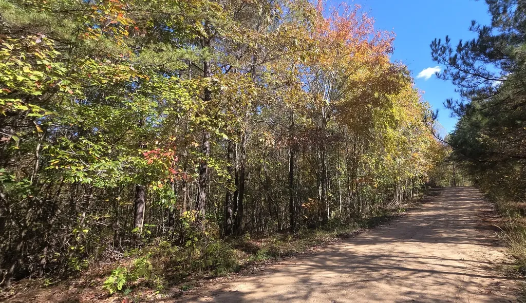 0 County Road 3022 Double Springs AL 35553