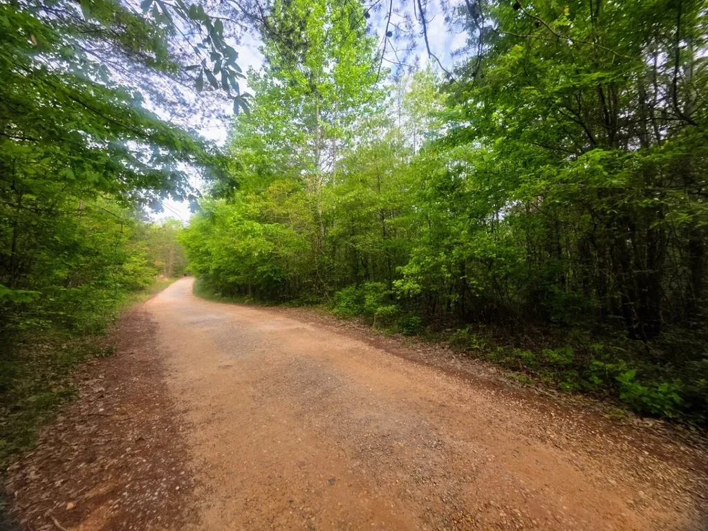 0 County Road 3022 Double Springs AL 35553