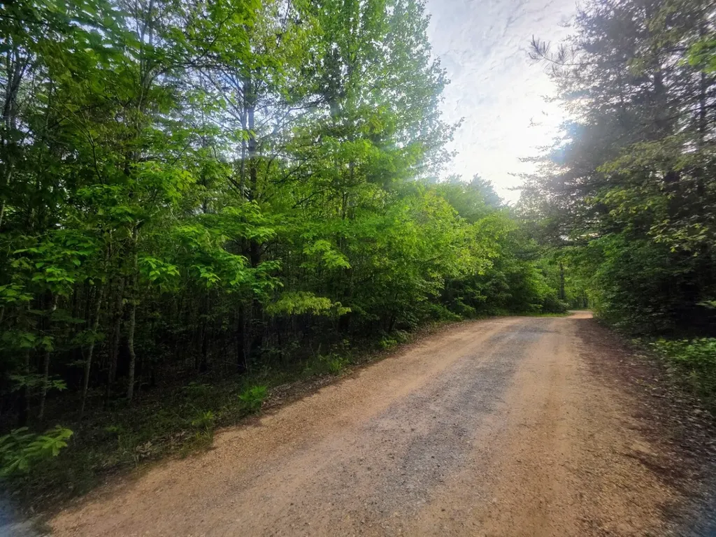 0 County Road 3022 Double Springs AL 35553