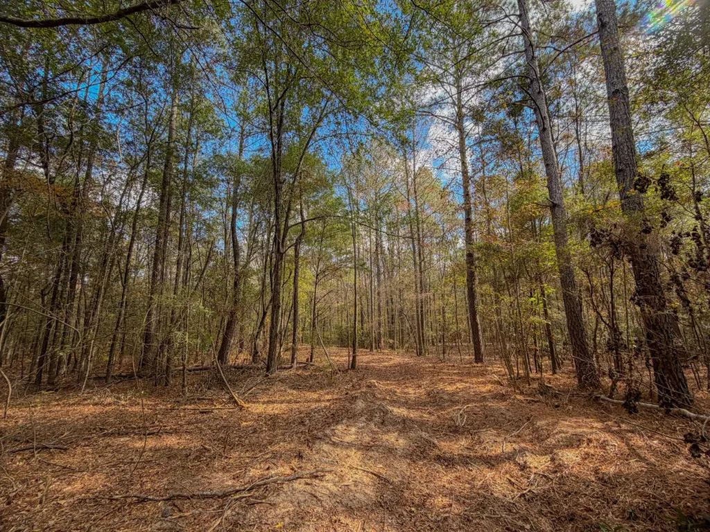 0 Co Road 359 Maplesville AL 36750