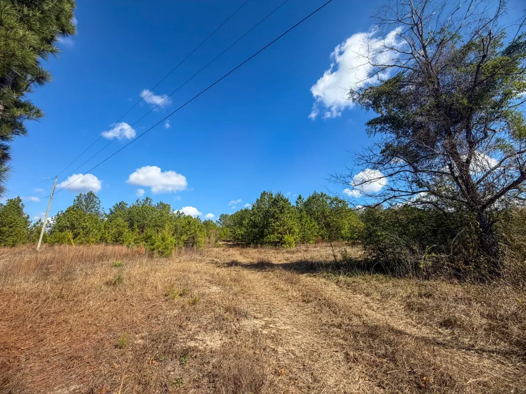 0 Co Road 359 Maplesville AL 36750