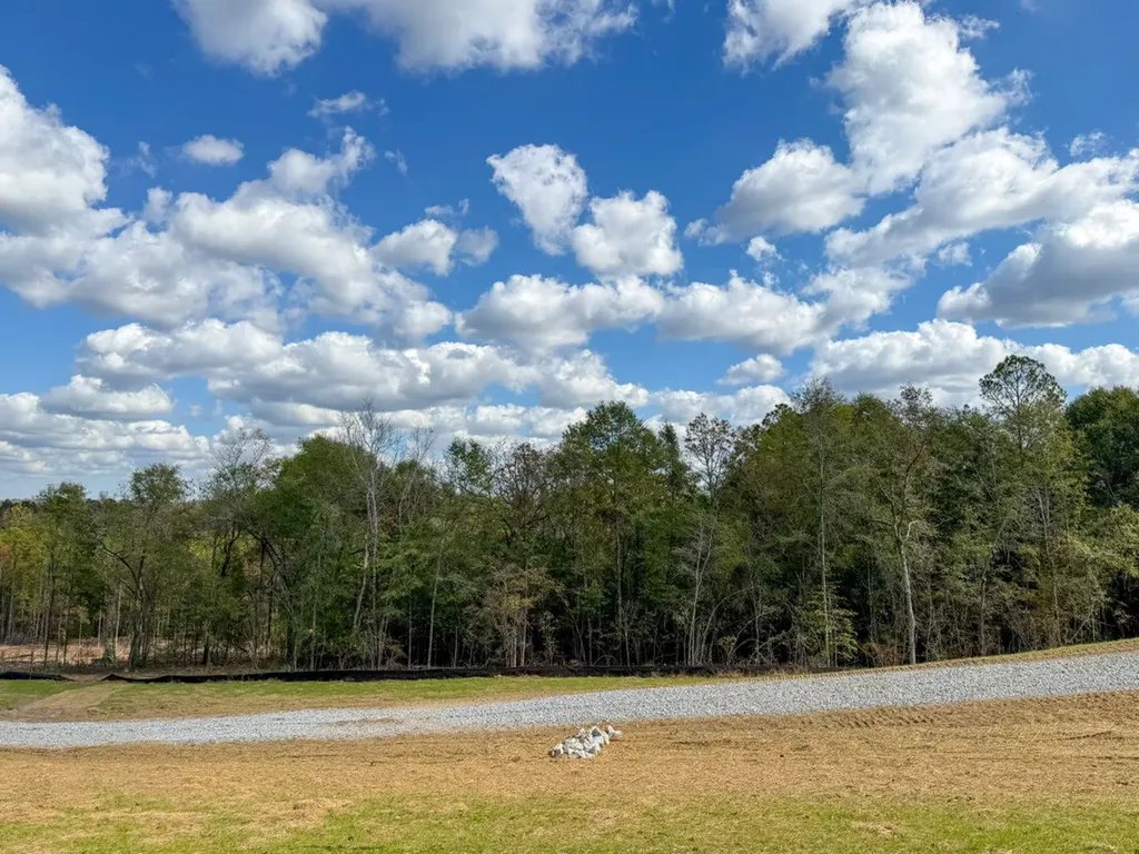 0 Co Road 359 Maplesville AL 36750