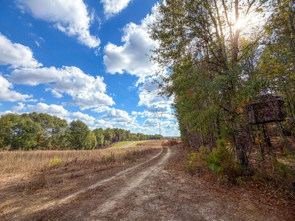 0 Co Road 359 Maplesville AL 36750