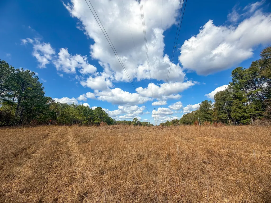 0 Co Road 359 Maplesville AL 36750