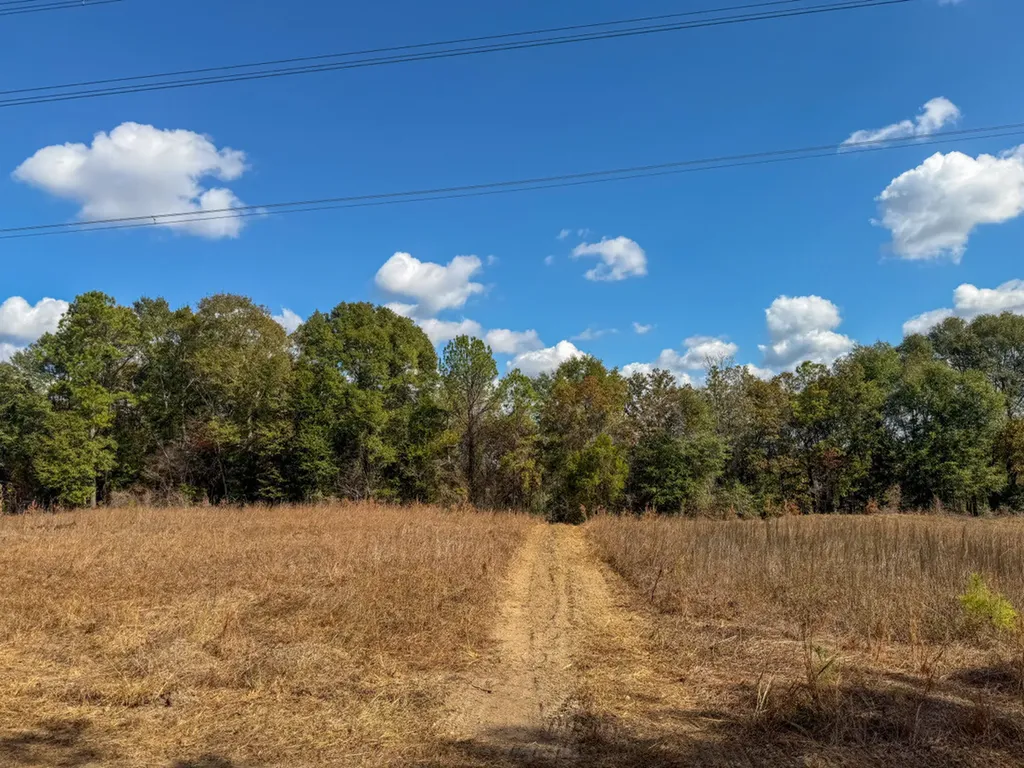 0 Co Road 359 Maplesville AL 36750