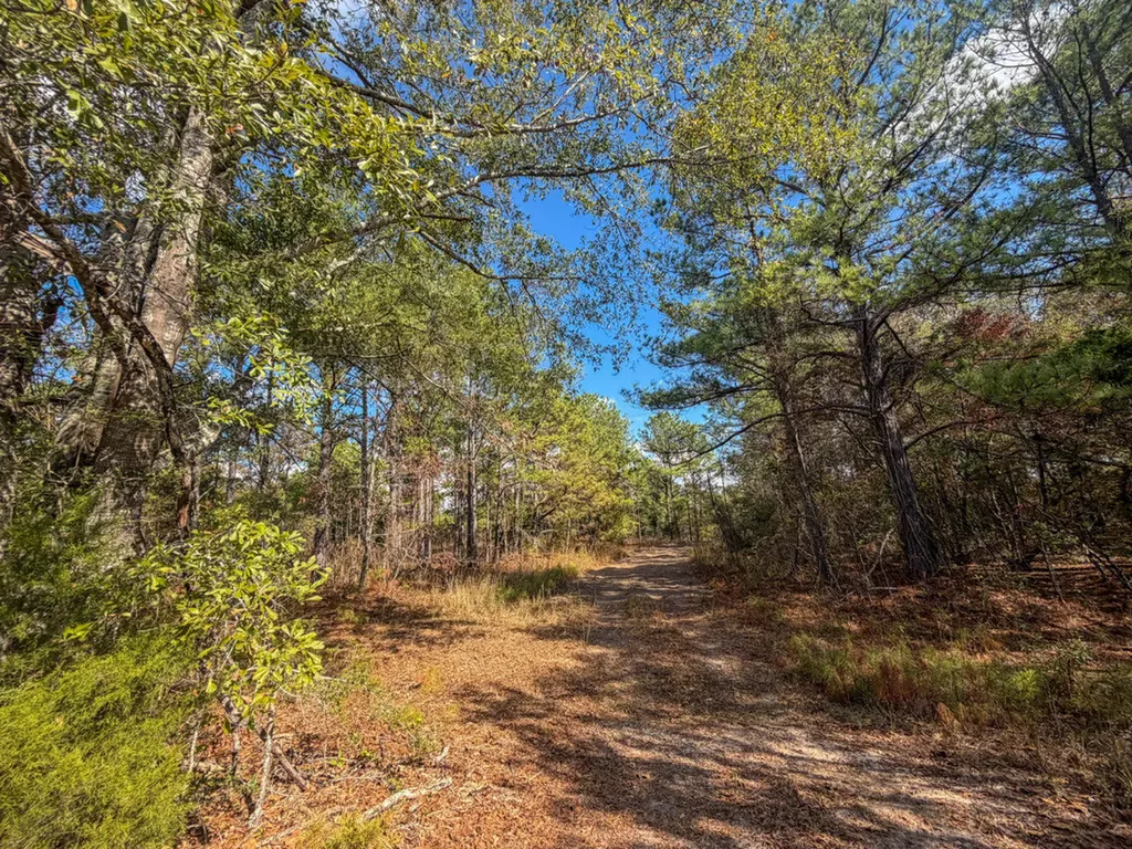 0 Co Road 359 Maplesville AL 36750