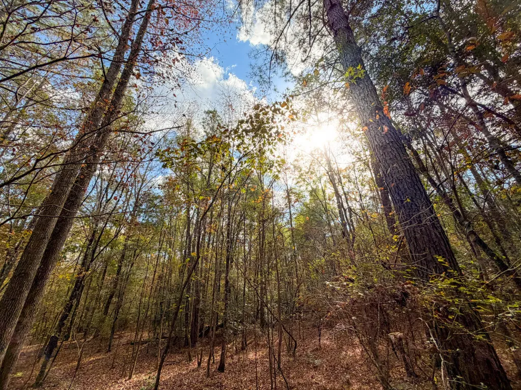 0 Co Road 359 Maplesville AL 36750
