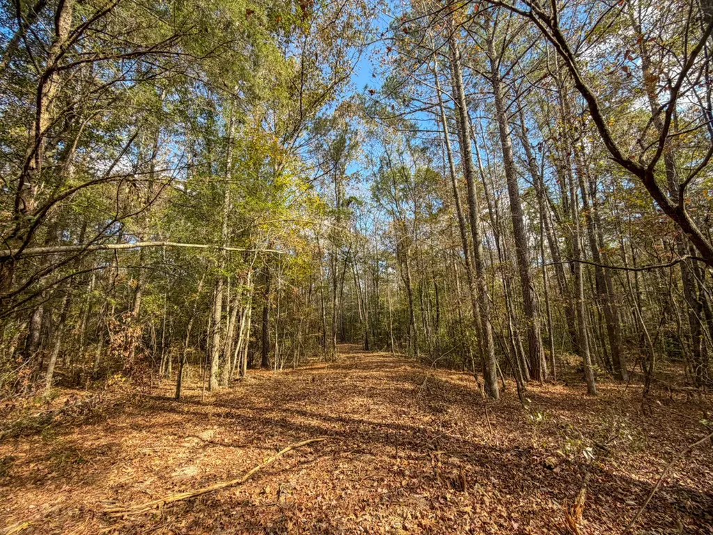 0 Co Road 359 Maplesville AL 36750