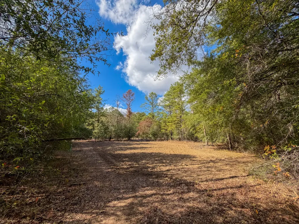 0 Co Road 359 Maplesville AL 36750