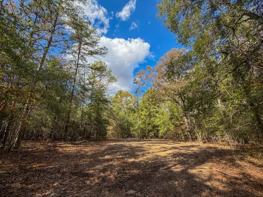 0 Co Road 359 Maplesville AL 36750