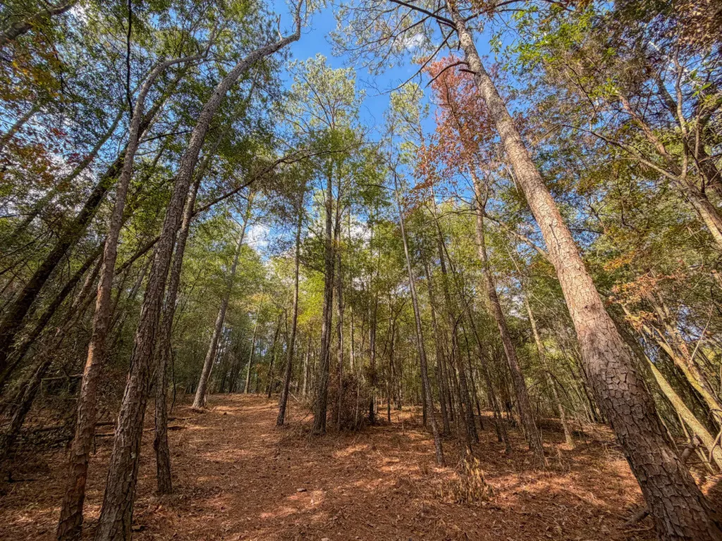 0 Co Road 359 Maplesville AL 36750