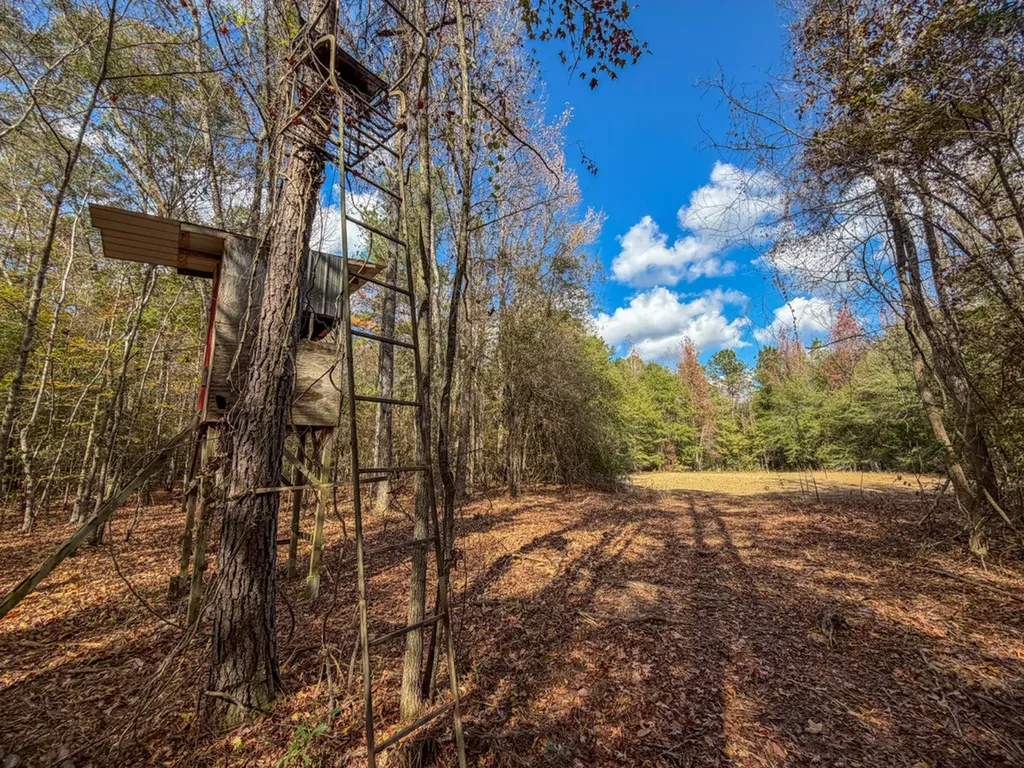 0 Co Road 359 Maplesville AL 36750