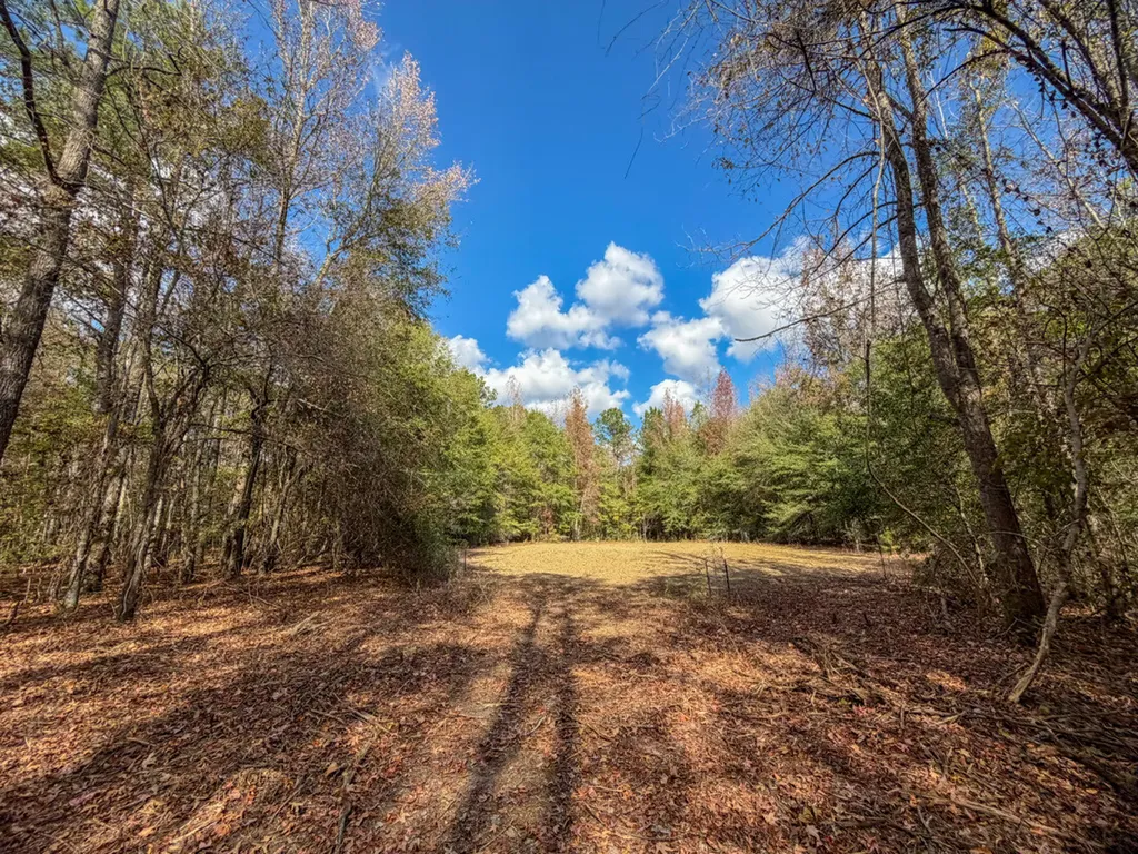0 Co Road 359 Maplesville AL 36750