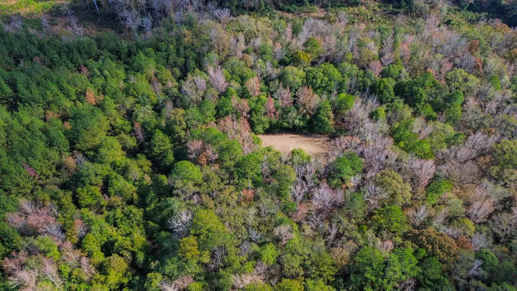 0 Co Road 359 Maplesville AL 36750