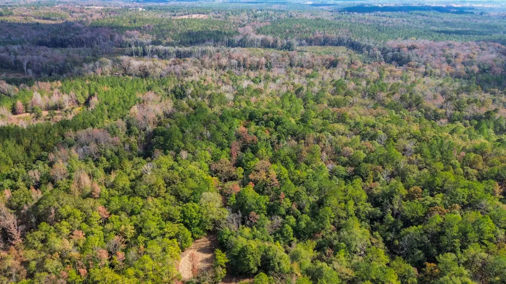0 Co Road 359 Maplesville AL 36750