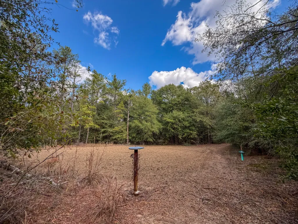 0 Co Road 359 Maplesville AL 36750