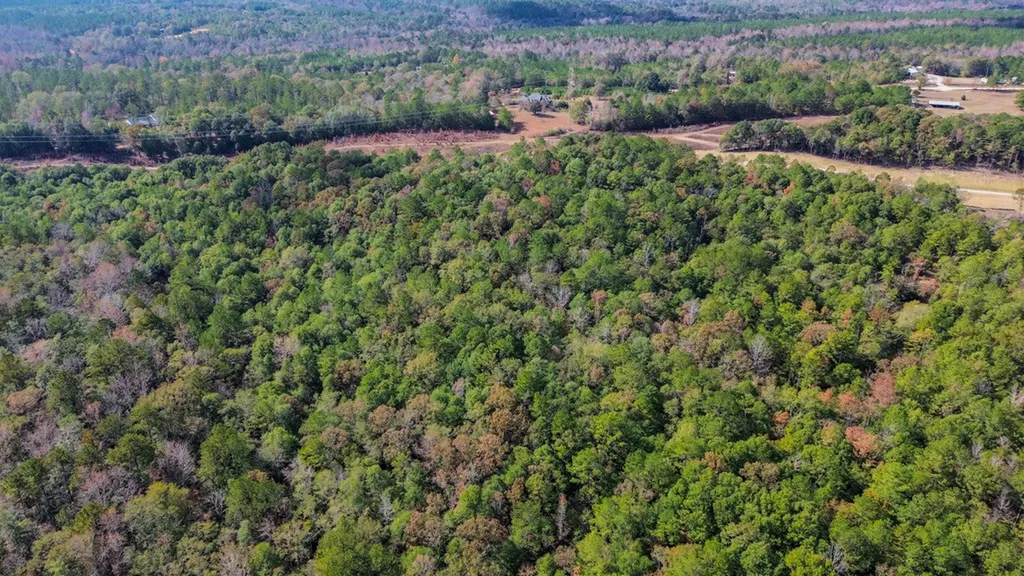 0 Co Road 359 Maplesville AL 36750