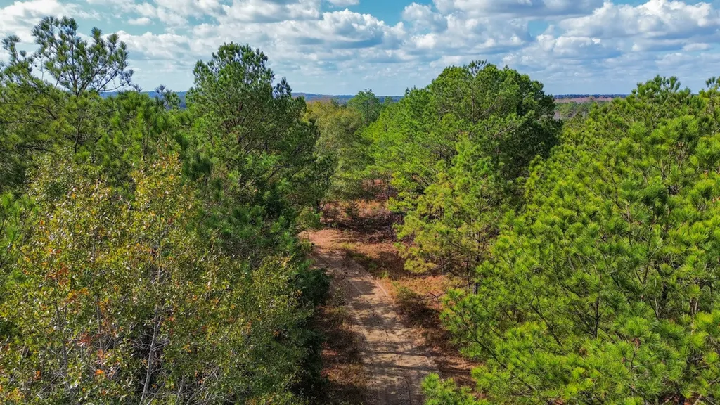 0 Co Road 359 Maplesville AL 36750