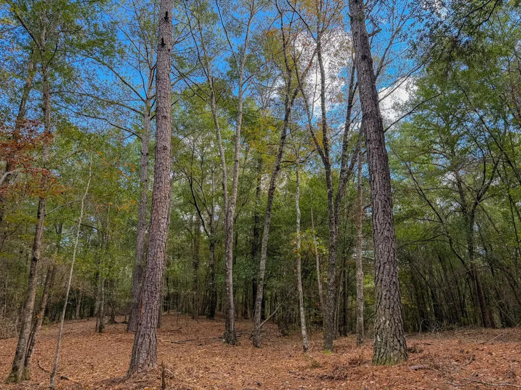 0 Co Road 359 Maplesville AL 36750