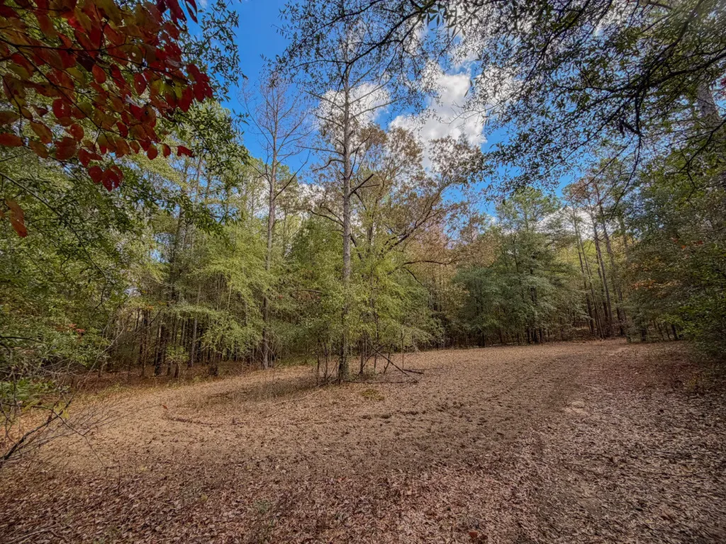 0 Co Road 359 Maplesville AL 36750