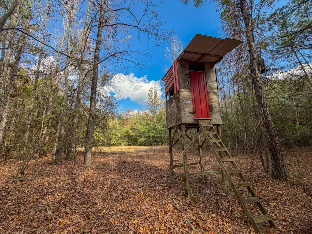 0 Co Road 359 Maplesville AL 36750