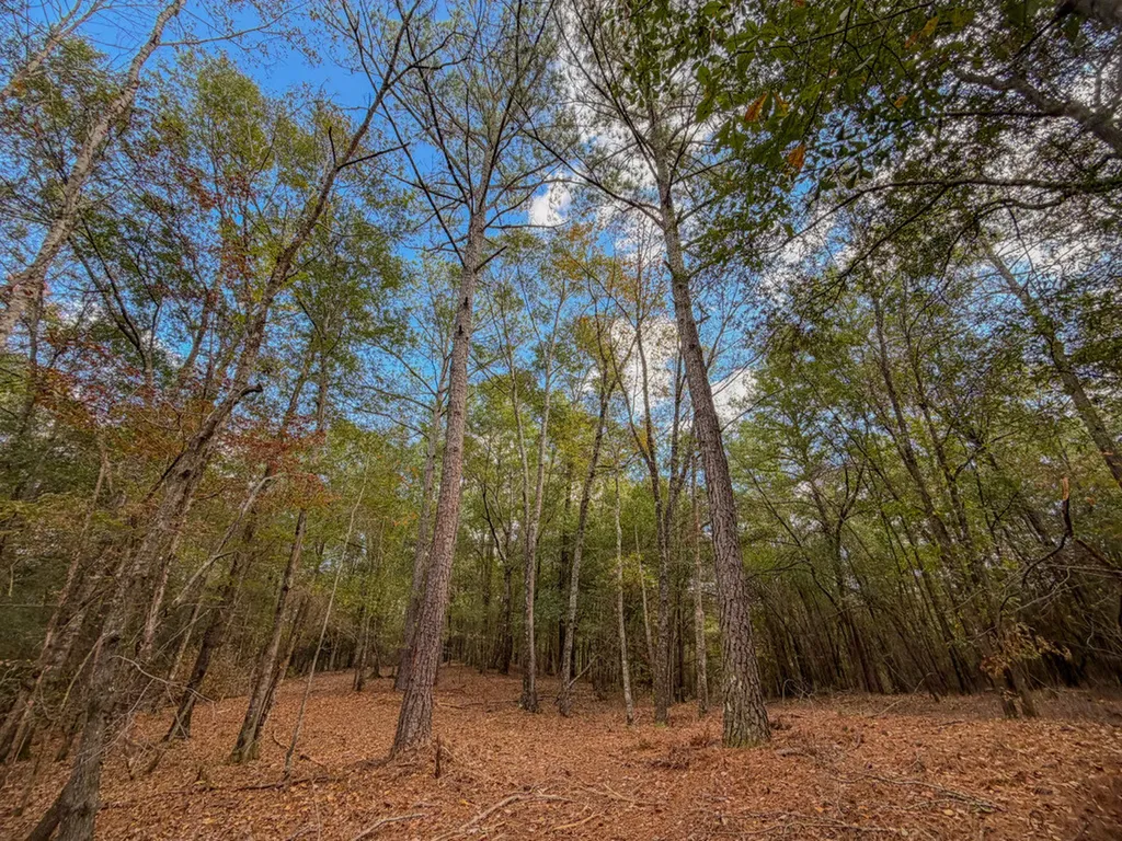 0 Co Road 359 Maplesville AL 36750