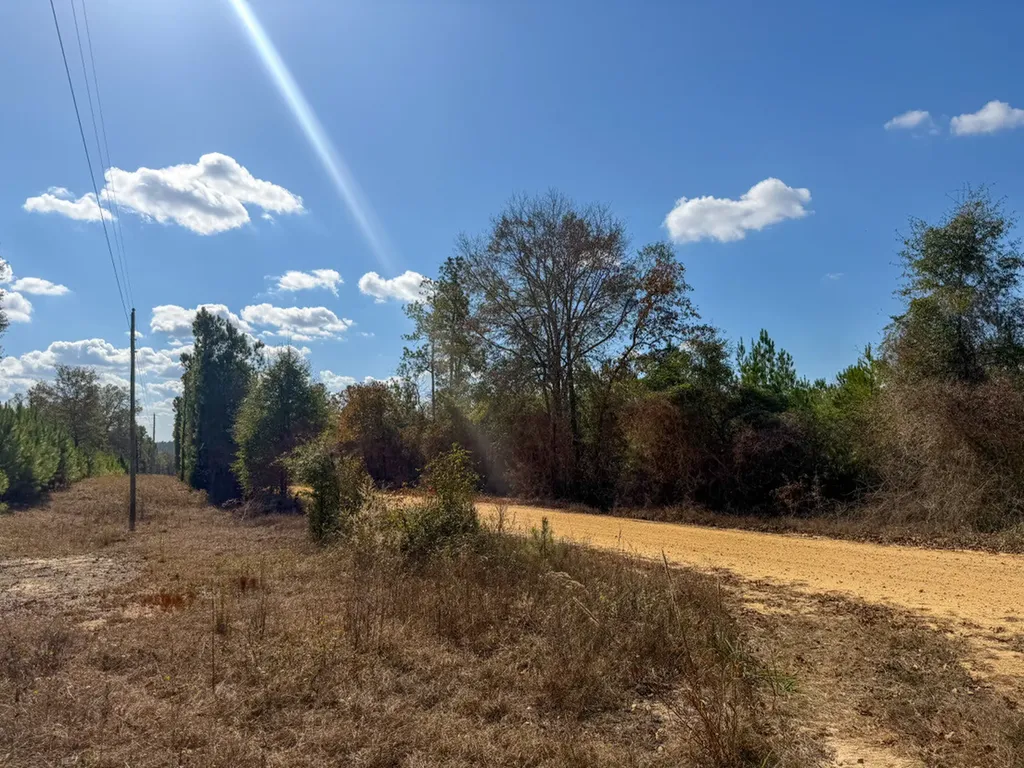 0 Co Road 359 Maplesville AL 36750