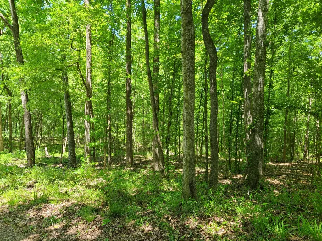 0 Percy Johnson Road Tyler AL 36785