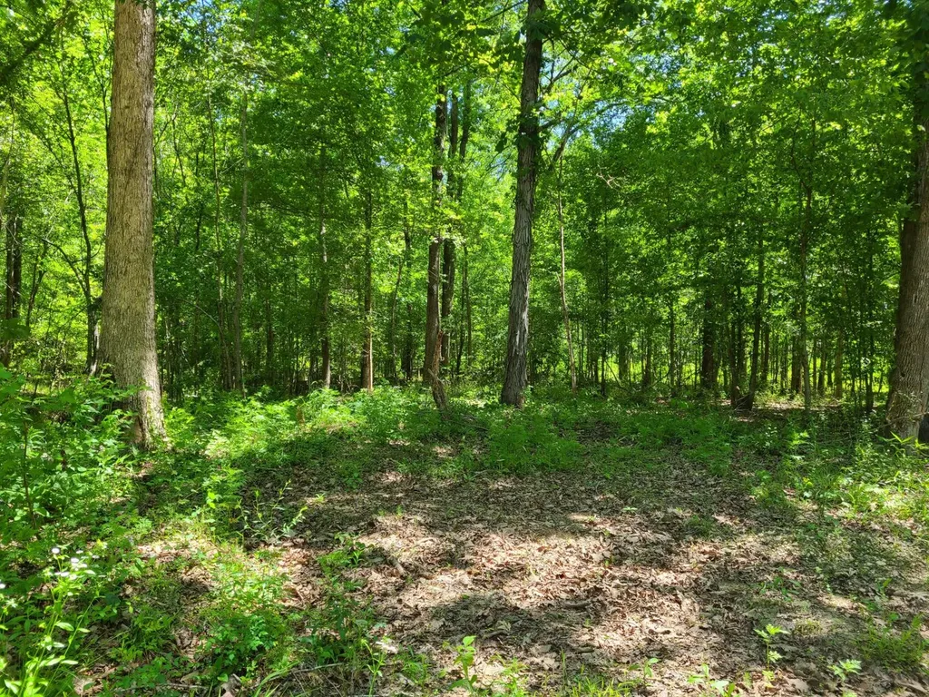 0 Percy Johnson Road Tyler AL 36785