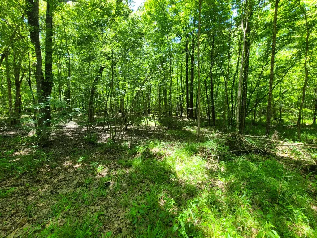 0 Percy Johnson Road Tyler AL 36785