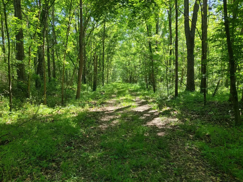 0 Percy Johnson Road Tyler AL 36785