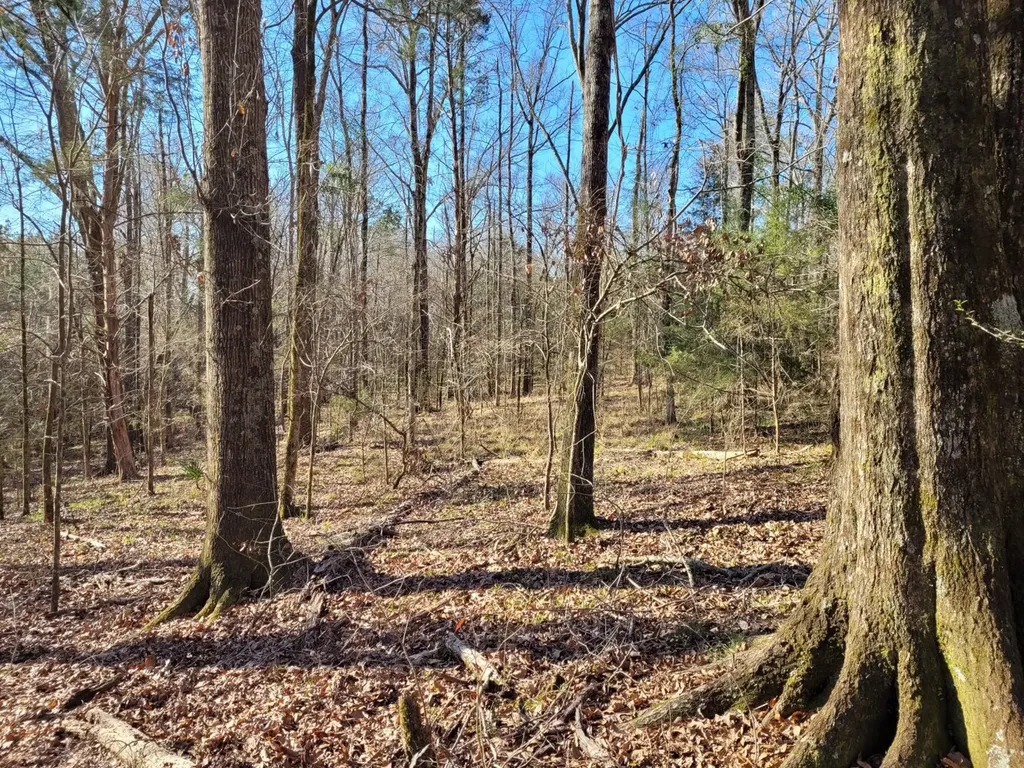 0 Percy Johnson Road Tyler AL 36785