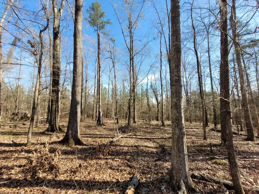 0 Percy Johnson Road Tyler AL 36785