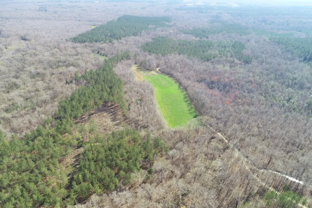 0 Percy Johnson Road Tyler AL 36785