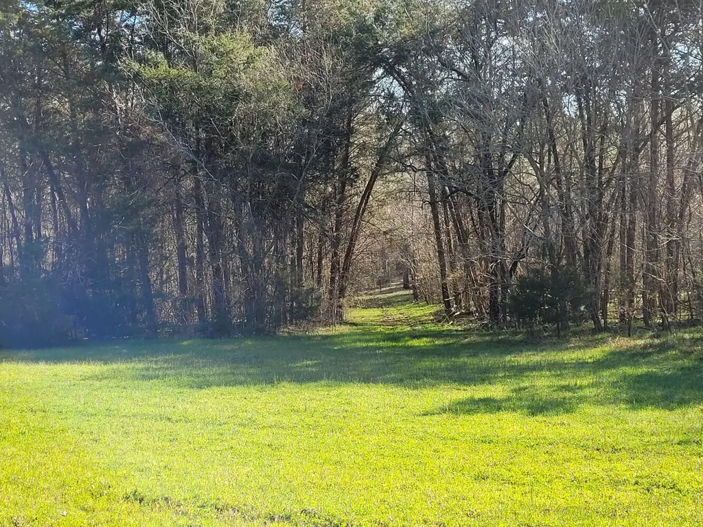 0 Percy Johnson Road Tyler AL 36785