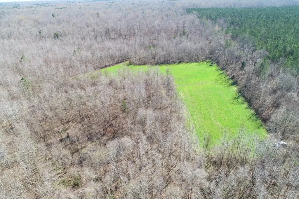 0 Percy Johnson Road Tyler AL 36785