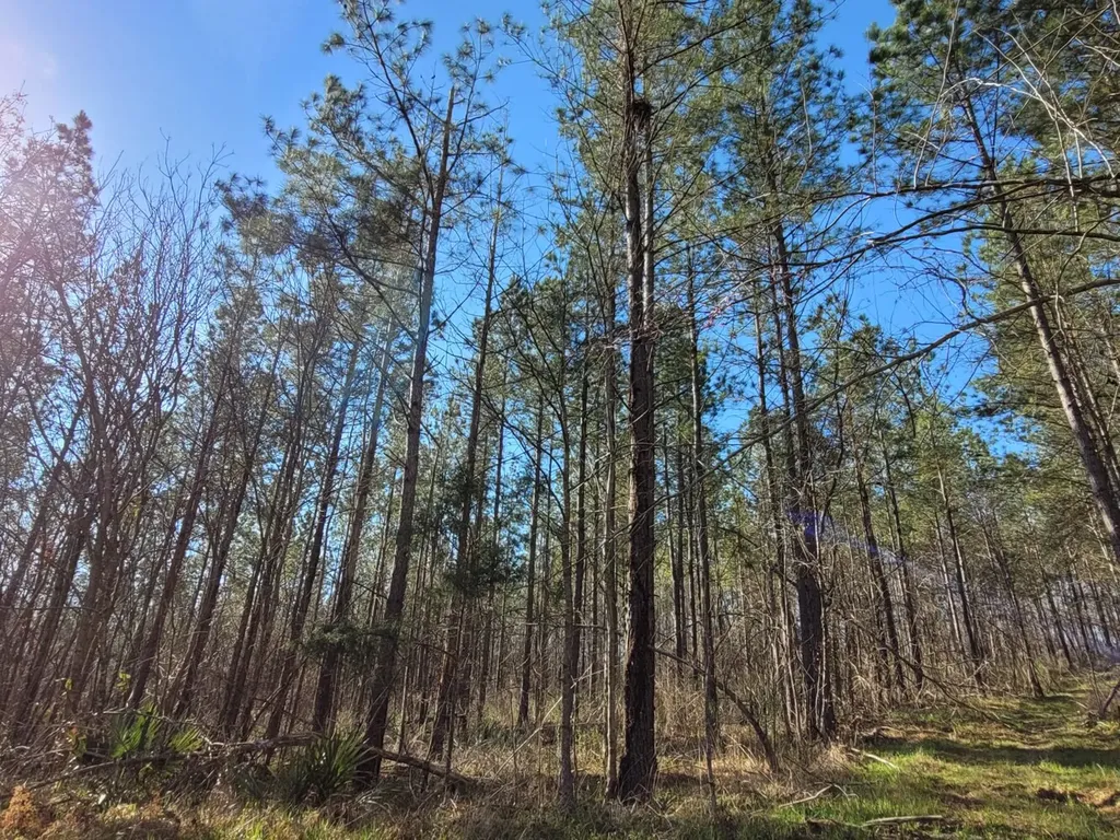 0 Percy Johnson Road Tyler AL 36785