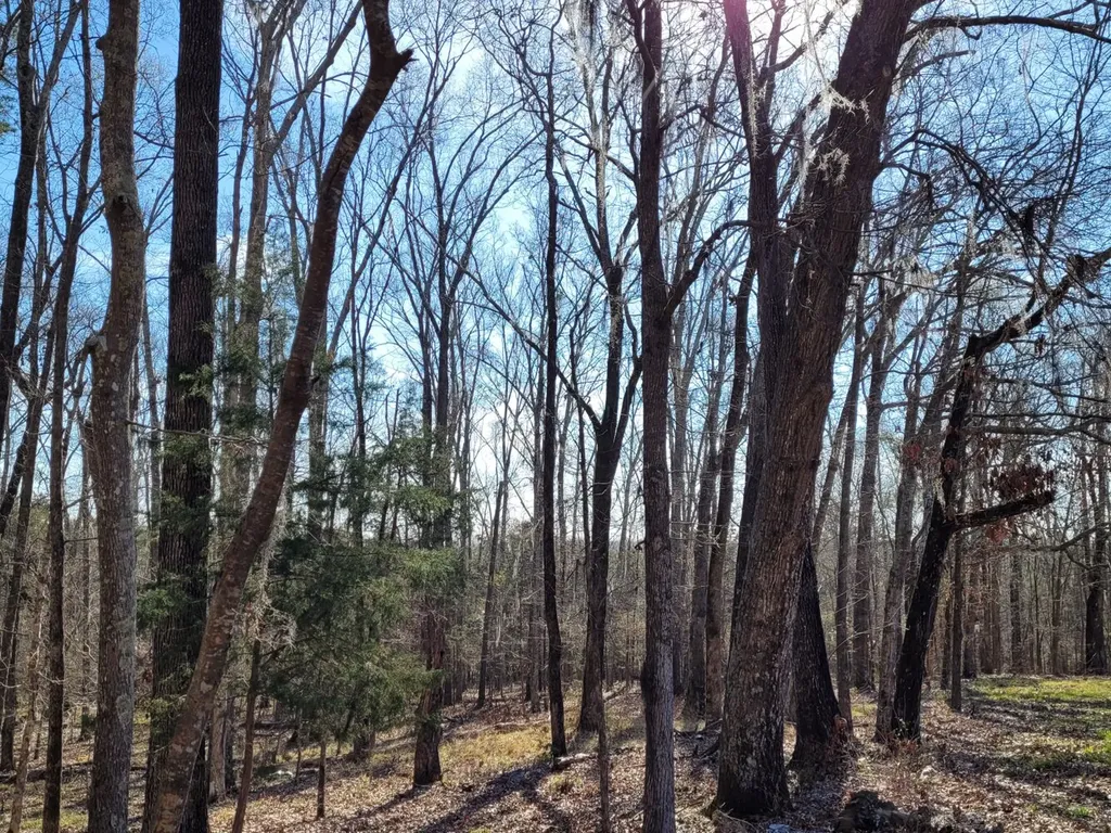 0 Percy Johnson Road Tyler AL 36785