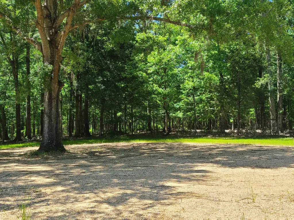 0 Percy Johnson Road Tyler AL 36785