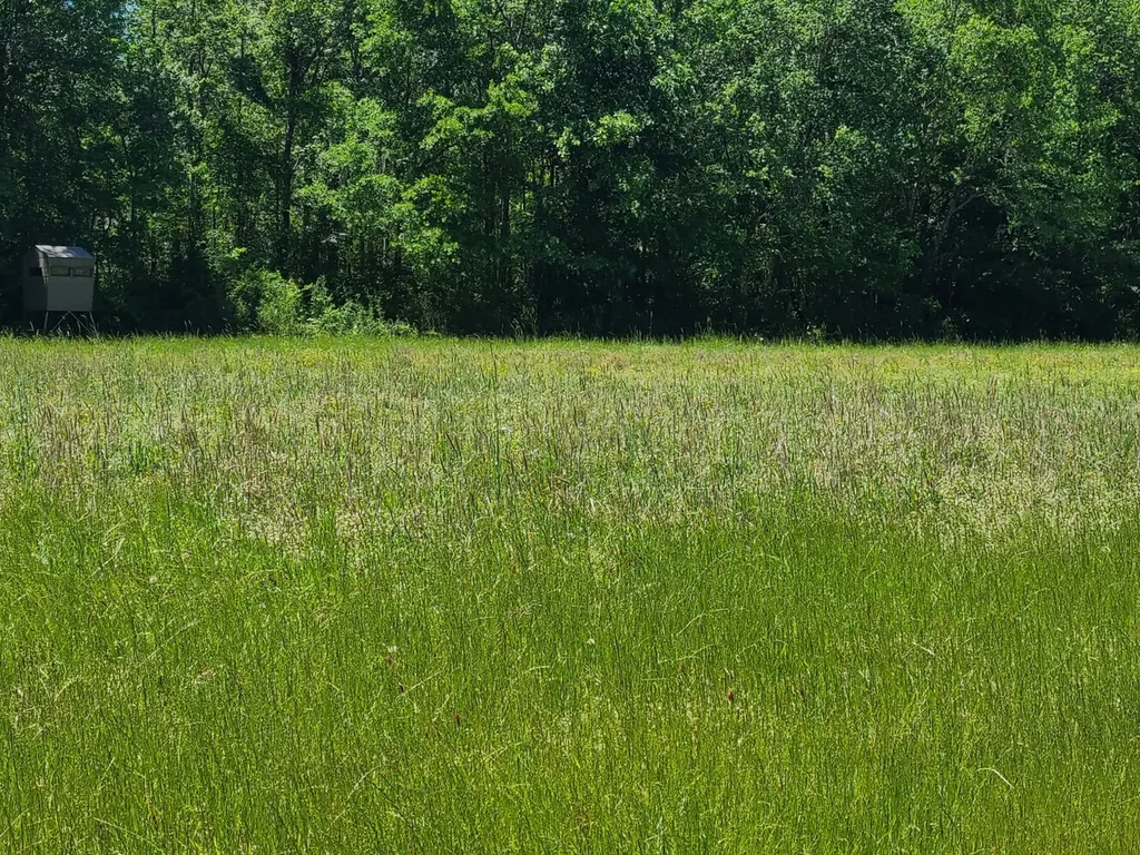 0 Percy Johnson Road Tyler AL 36785