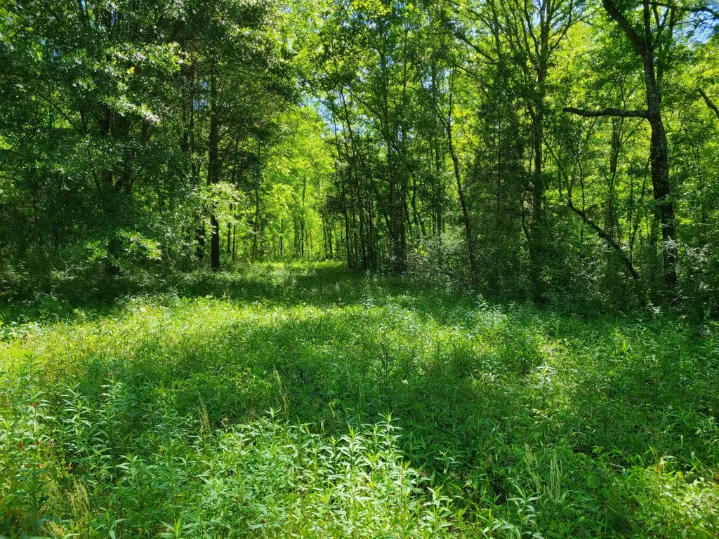 0 Percy Johnson Road Tyler AL 36785