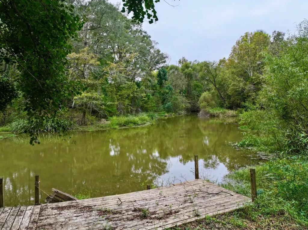 1785 International Paper Road Coffeeville AL 36524