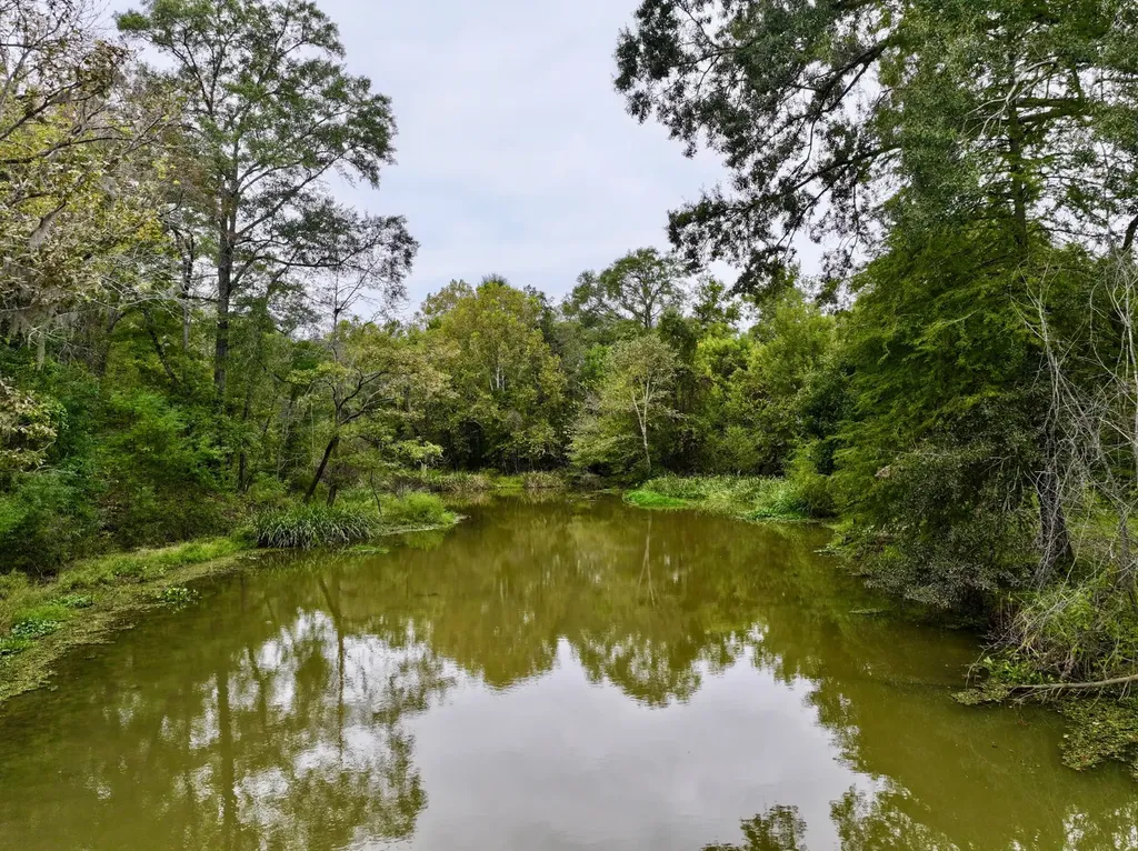 1785 International Paper Road Coffeeville AL 36524