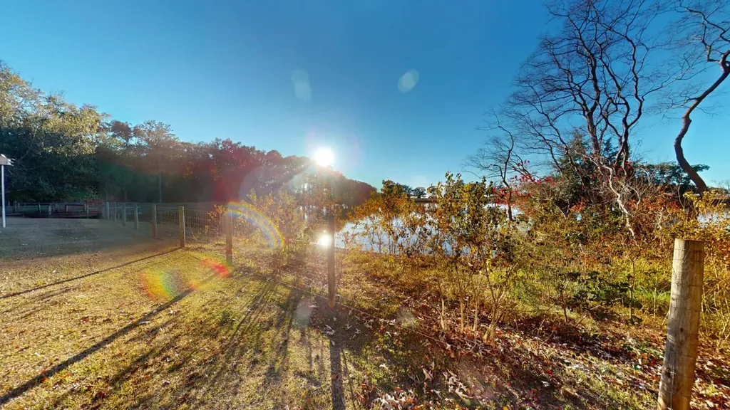 370 Roy Beall Drive Luverne AL 36049