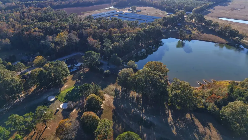 370 Roy Beall Drive Luverne AL 36049