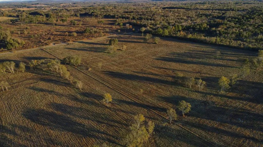 1 Co Highway 78 Russellville AL 35654