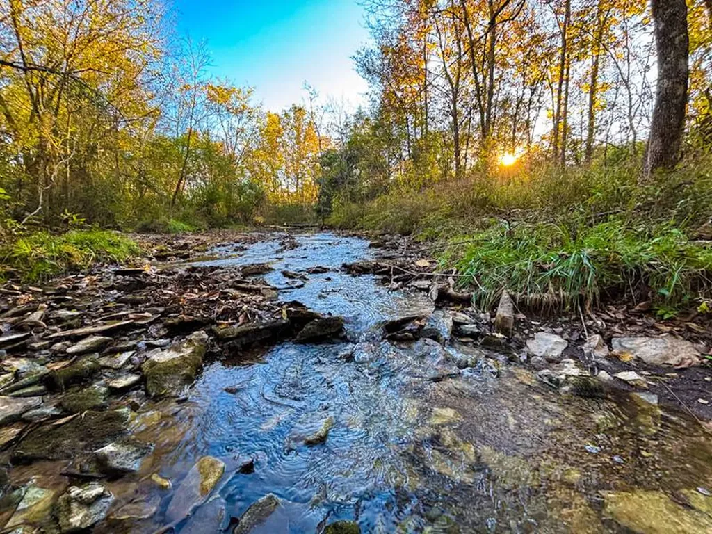 1 Co Highway 78 Russellville AL 35654