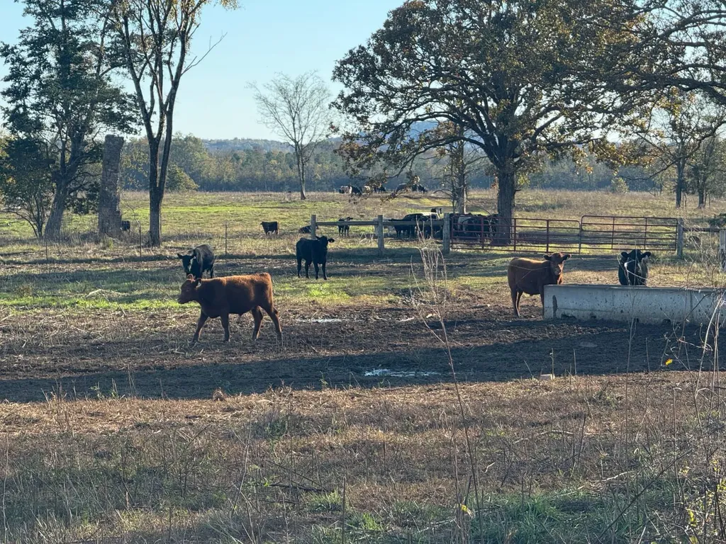 1 Co Highway 78 Russellville AL 35654