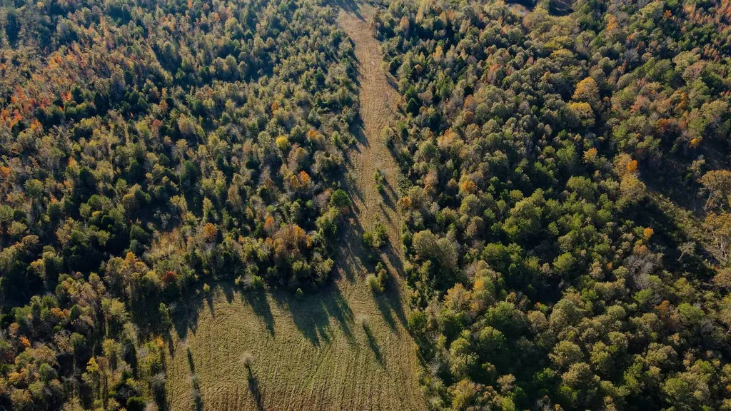 1 Co Highway 78 Russellville AL 35654