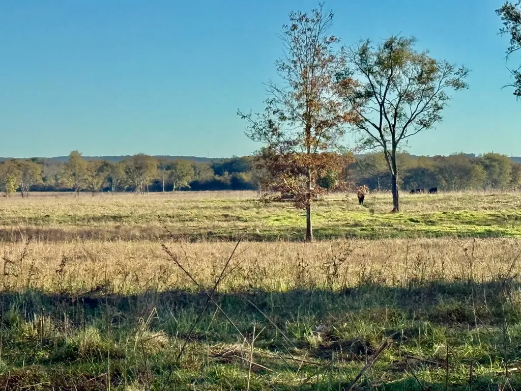 1 Co Highway 78 Russellville AL 35654